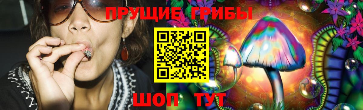 Псилоцибиновые грибы мицелий  Галлюциногенные грибы Psilocybine cubensis  Вход с VPN  Бузулук 